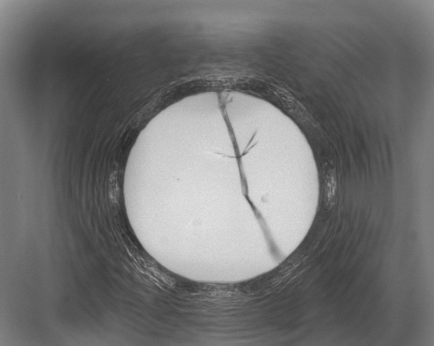 X0000081581204200702121439