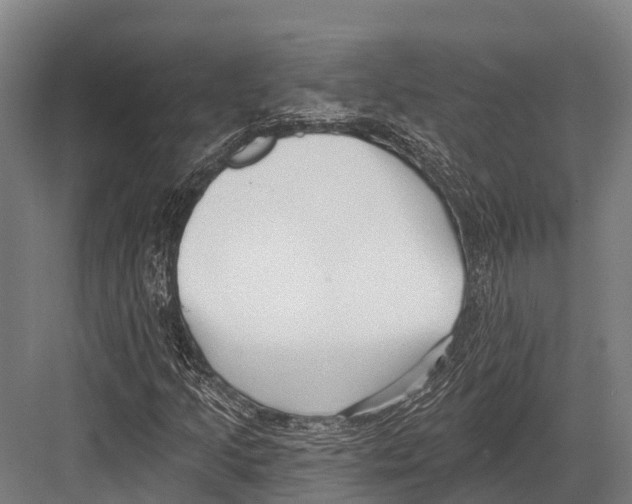 X0000081581205200702121439