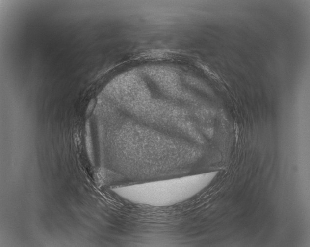 X0000081581206200702121439