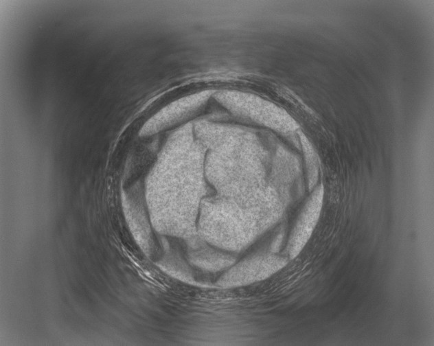 X0000081581208200702121439