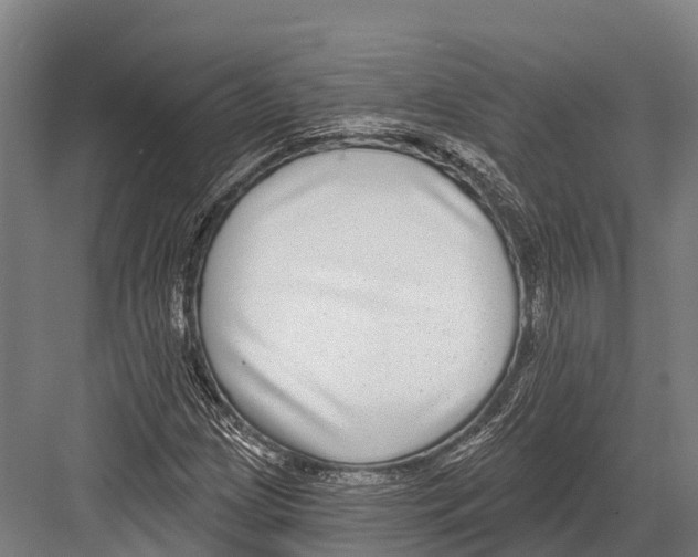 X0000081581209200702121439