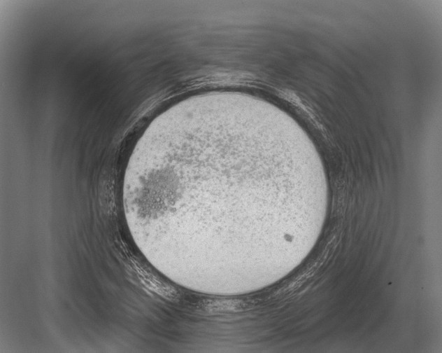 X0000081581211200702121439