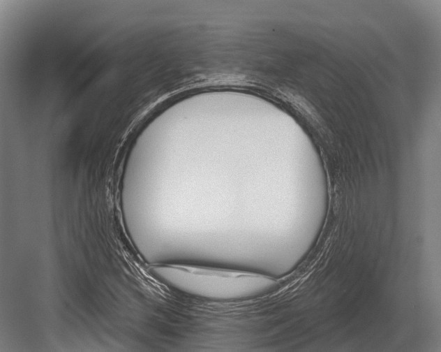 X0000081581212200702121439