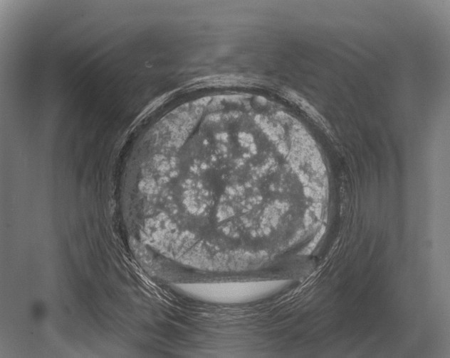 X0000081581213200702121439