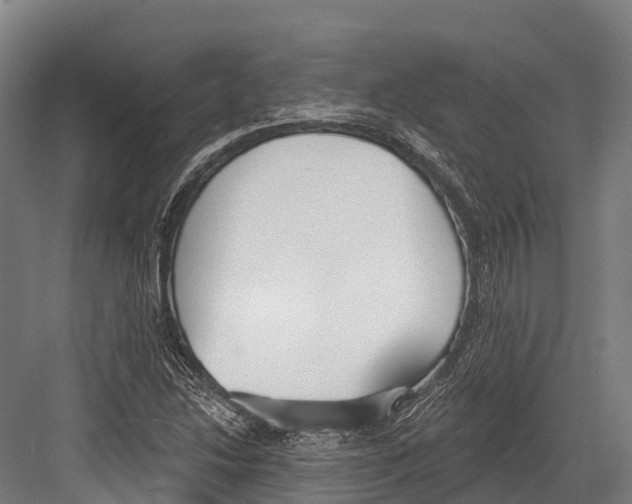 X0000081581214200702121439