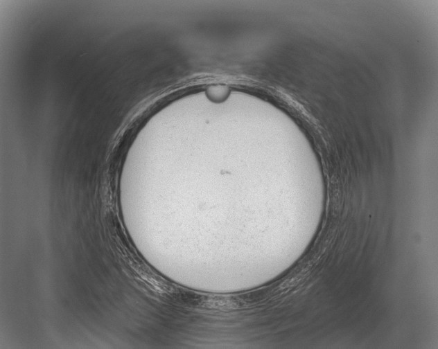 X0000081581215200702121439