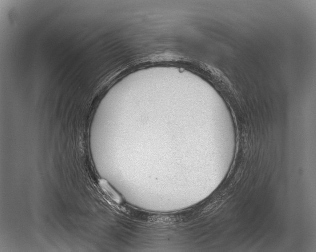 X0000081581217200702121439