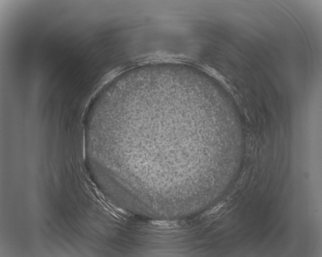 X0000081581219200702121439