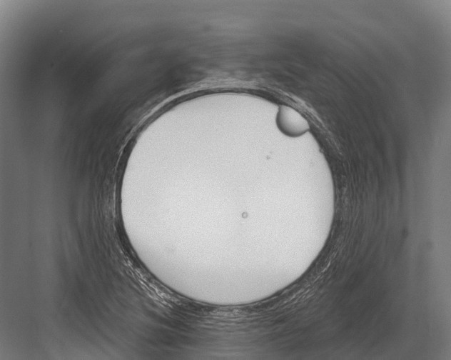 X0000081581220200702121439