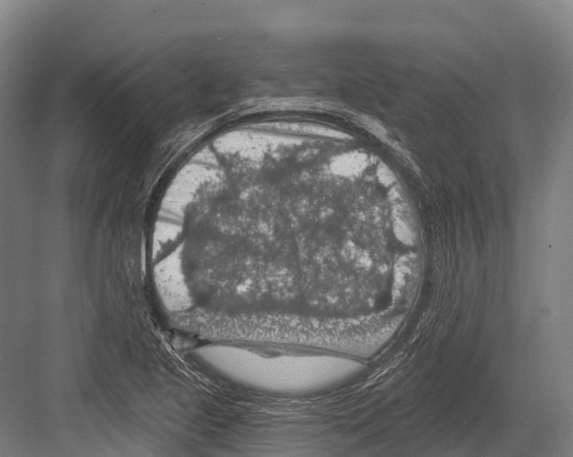 X0000081581221200702121439