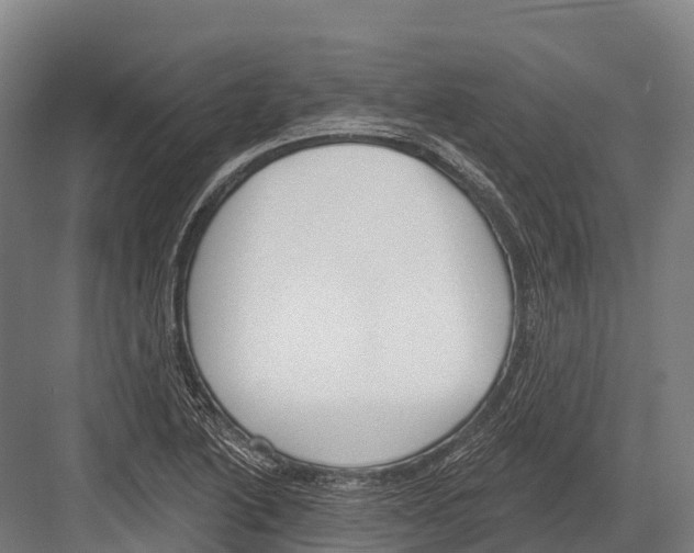 X0000081581222200702121439