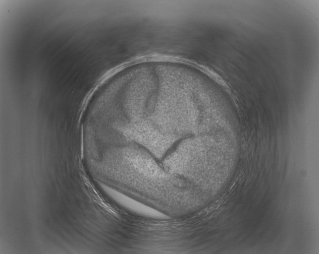 X0000081581223200702121439