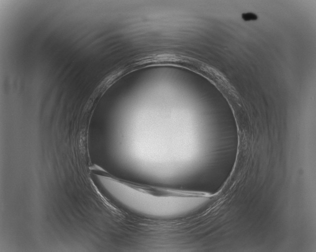 X0000081581225200702121439