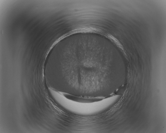 X0000081581226200702121439