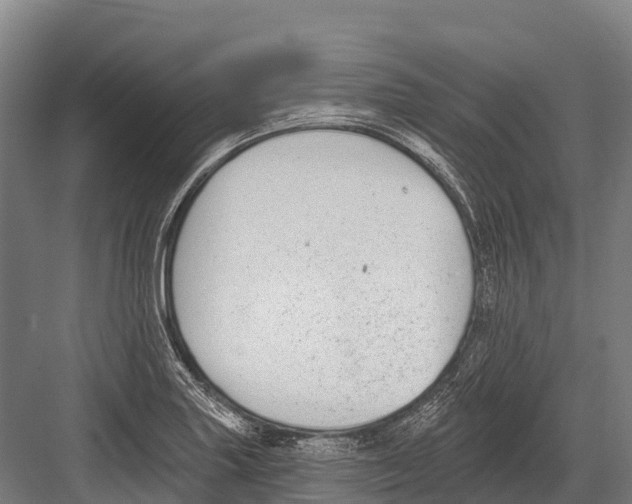 X0000081581227200702121439