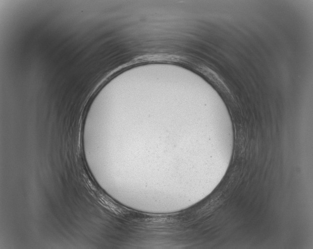 X0000081581228200702121439