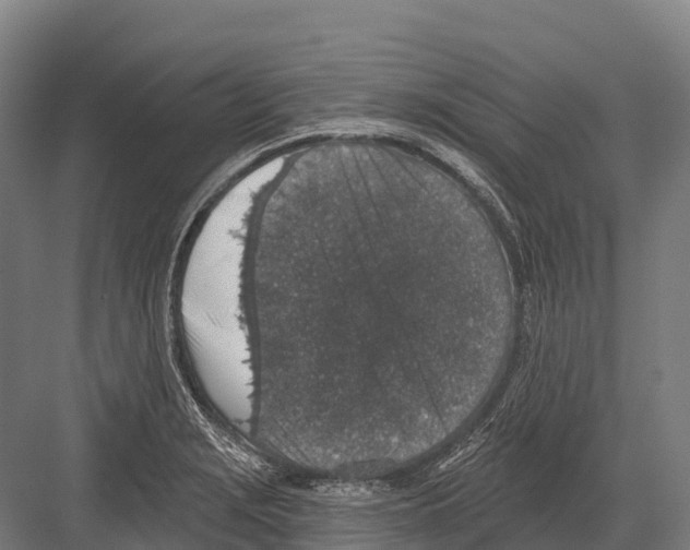 X0000081581229200702121439