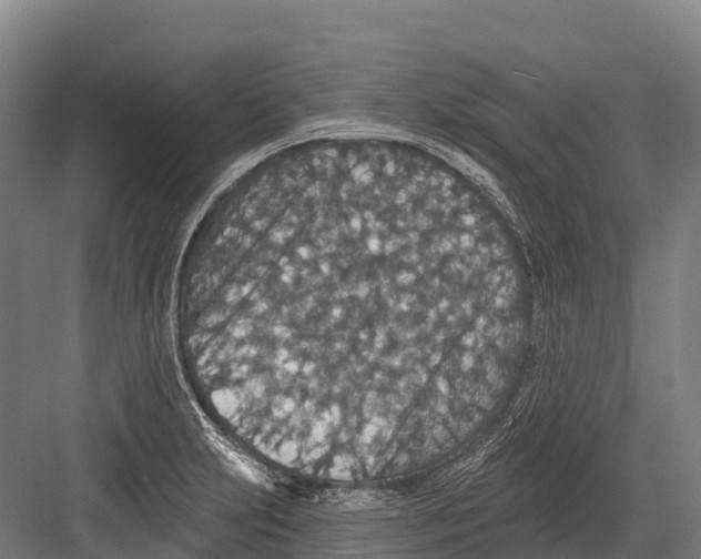 X0000081581231200702121439