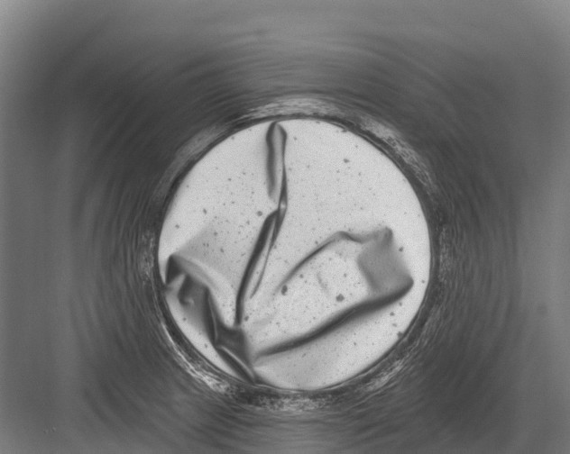 X0000081581233200702121439