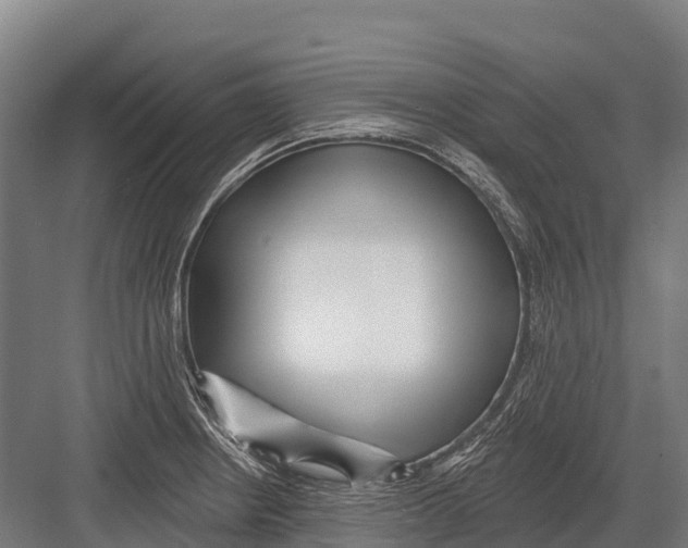 X0000081581234200702121439