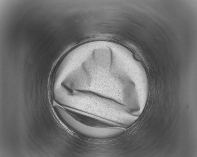 X0000081581235200702121439