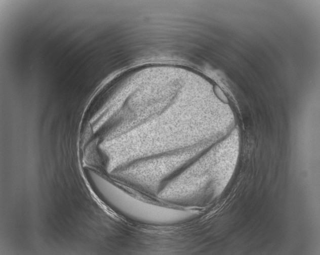 X0000081581237200702121439