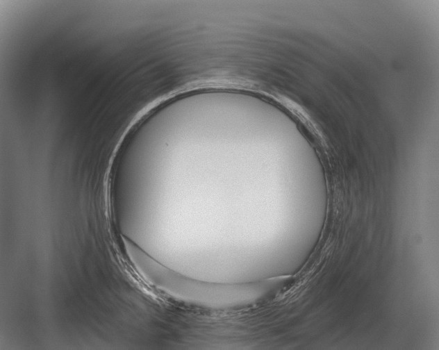 X0000081581238200702121439