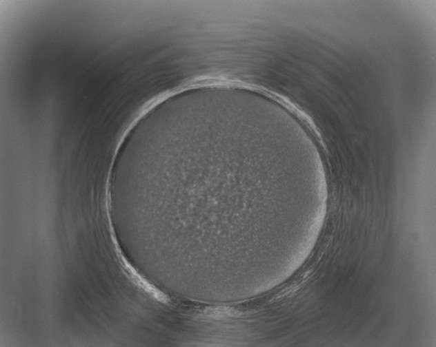 X0000081581239200702121439