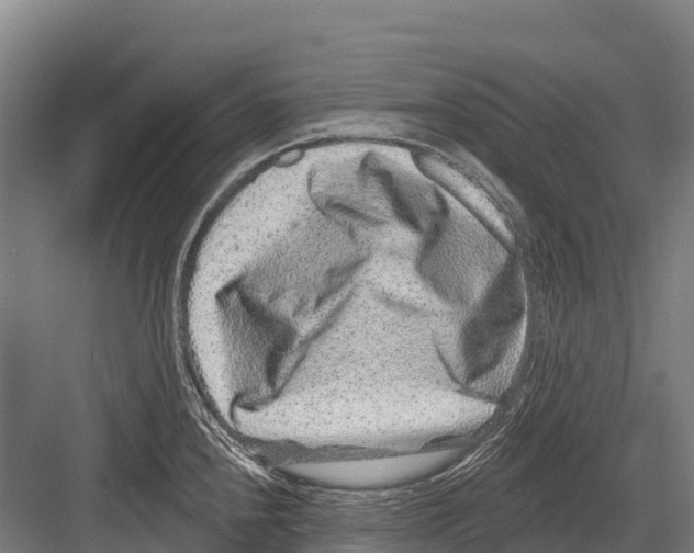 X0000081581240200702121439