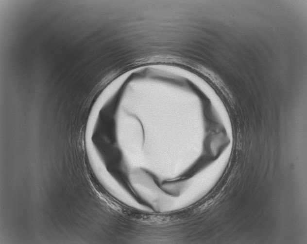 X0000081581241200702121439