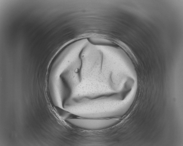 X0000081581244200702121439