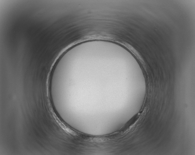 X0000081581246200702121439