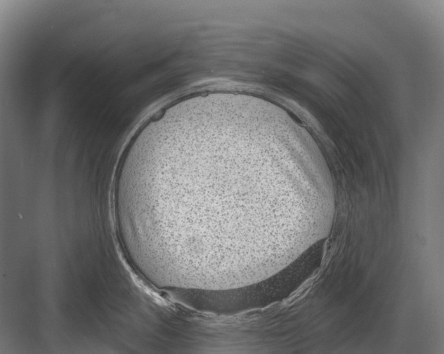 X0000081581247200702121439