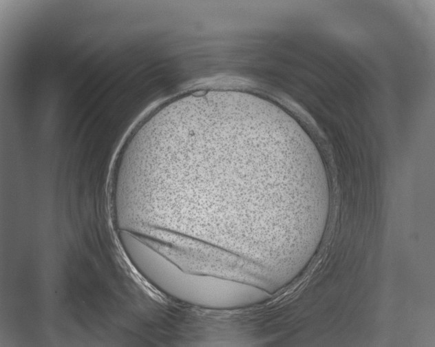 X0000081581248200702121439