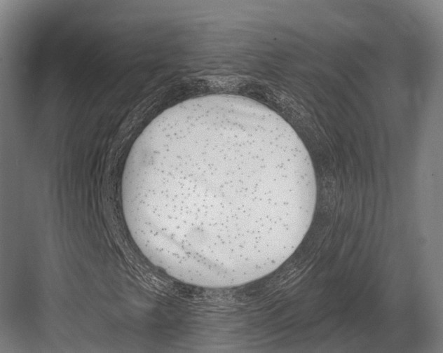 X0000081581249200702121439