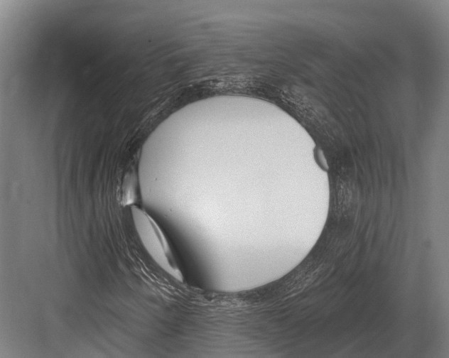 X0000081581250200702121438