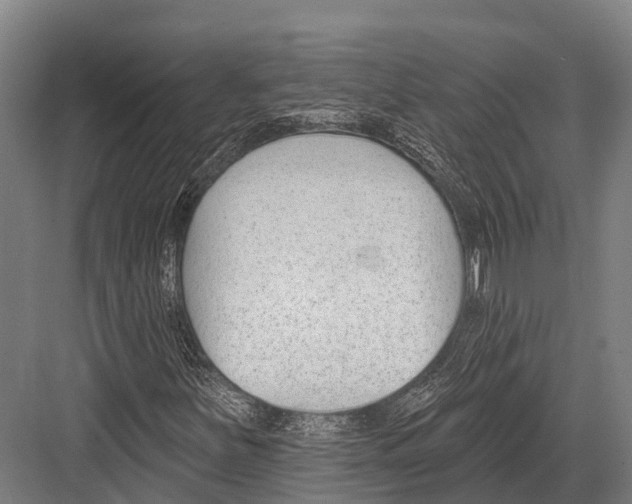 X0000081581251200702121438