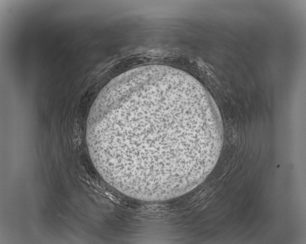 X0000081581253200702121438