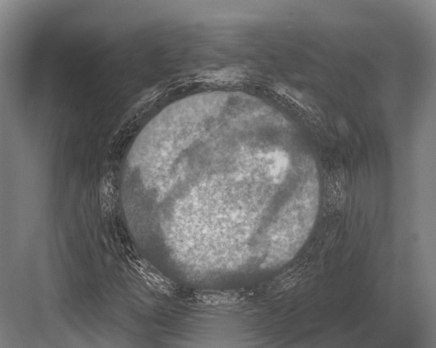 X0000081581254200702121438