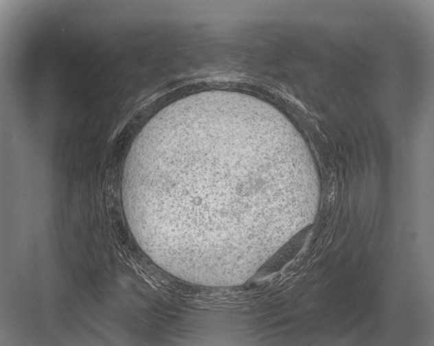 X0000081581255200702121438