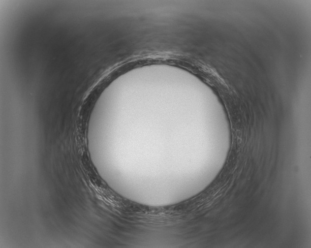 X0000081581256200702121438