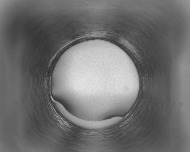 X0000081581260200702121438