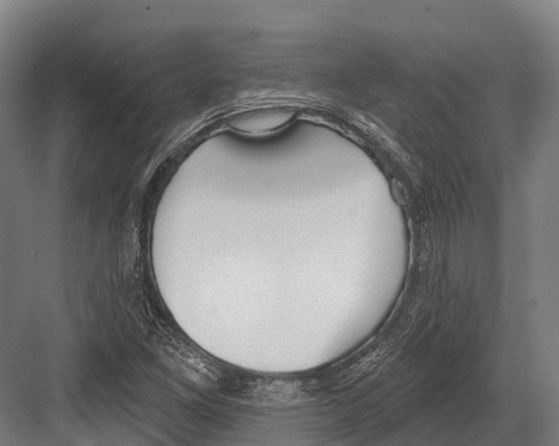 X0000081581261200702121438