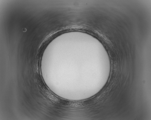 X0000081581262200702121438