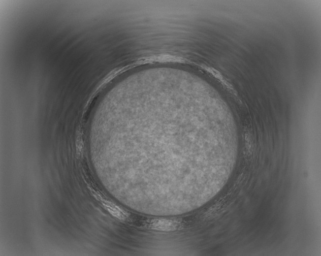 X0000081581266200702121438