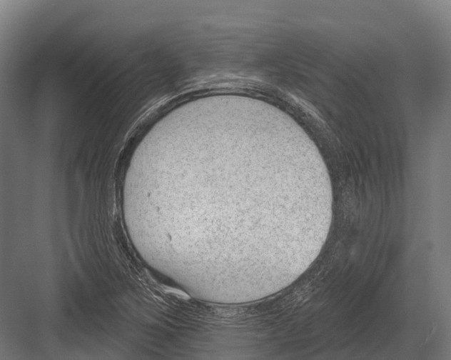 X0000081581267200702121438