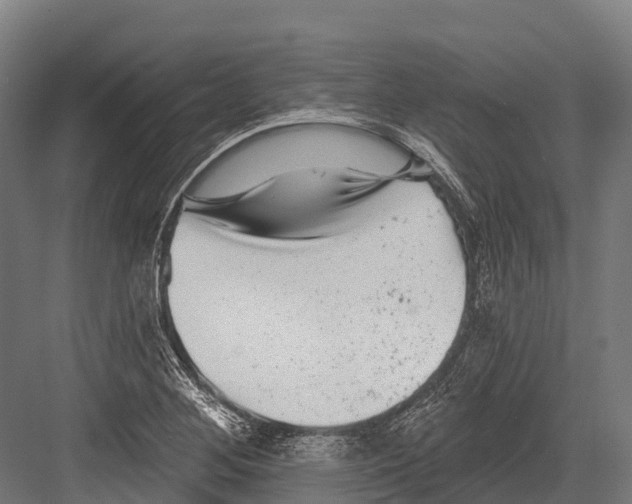 X0000081581268200702121438