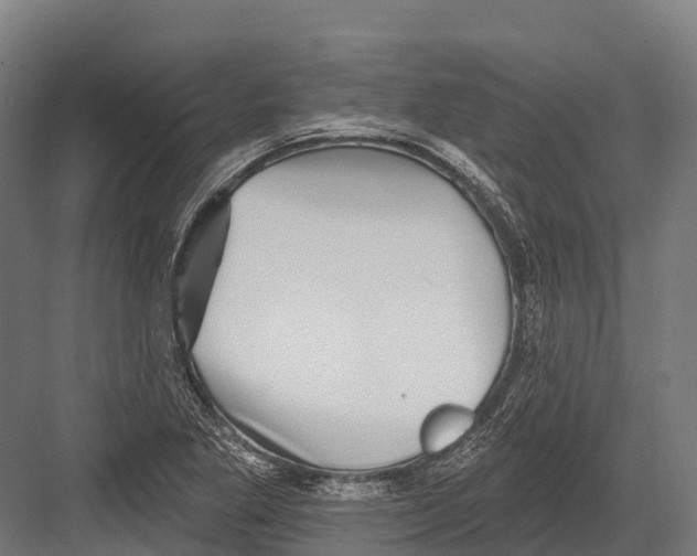 X0000081581269200702121438