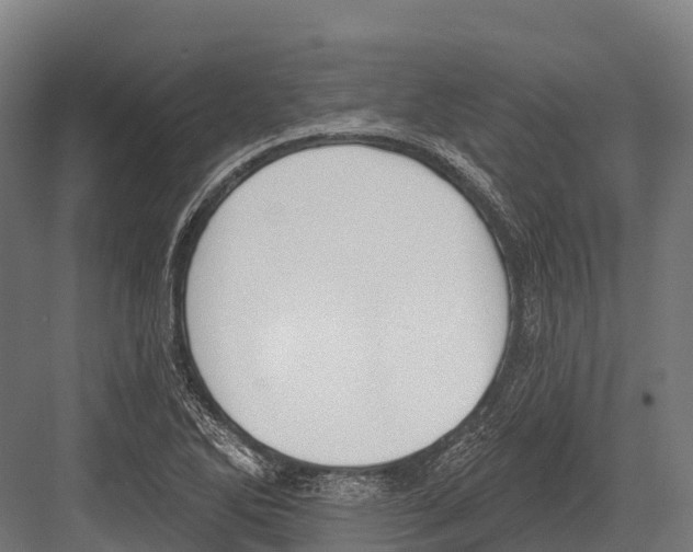 X0000081581270200702121438