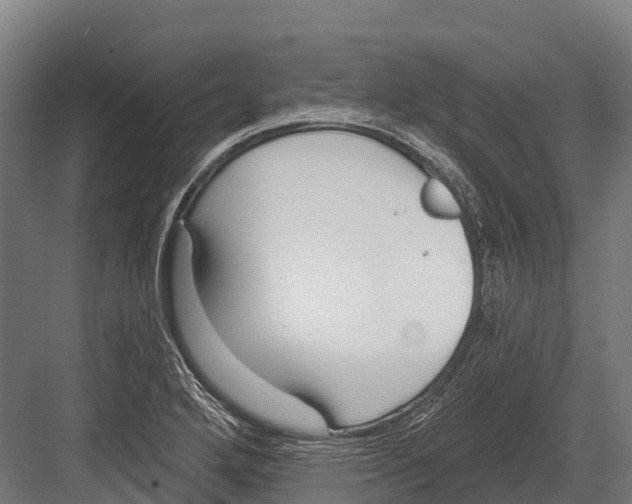 X0000081581272200702121438